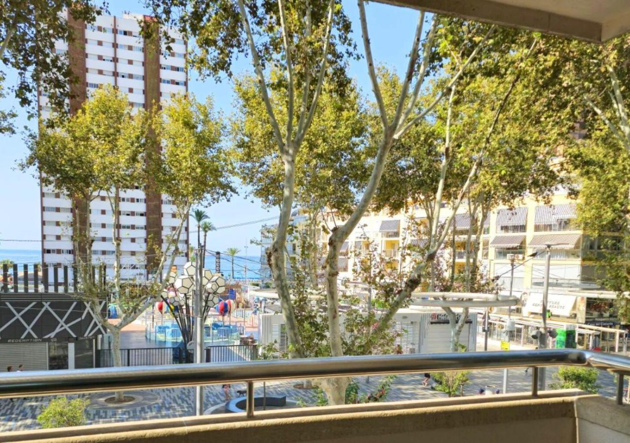 Double Room Avenue View